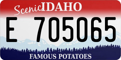 ID license plate E705065
