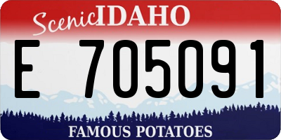 ID license plate E705091