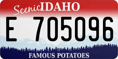 ID license plate E705096