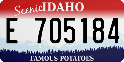 ID license plate E705184