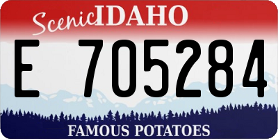 ID license plate E705284