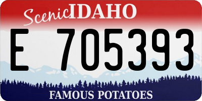 ID license plate E705393