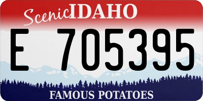 ID license plate E705395