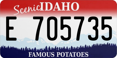 ID license plate E705735