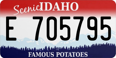 ID license plate E705795