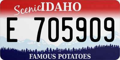 ID license plate E705909