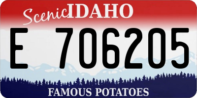 ID license plate E706205