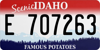 ID license plate E707263