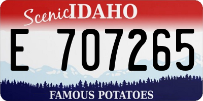 ID license plate E707265