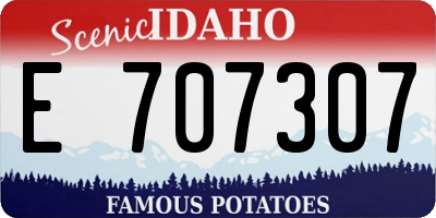 ID license plate E707307
