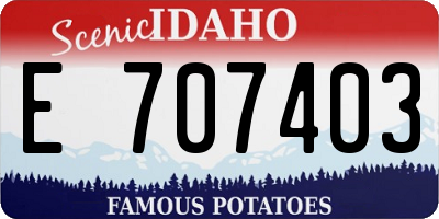 ID license plate E707403