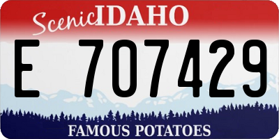 ID license plate E707429
