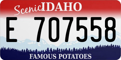 ID license plate E707558