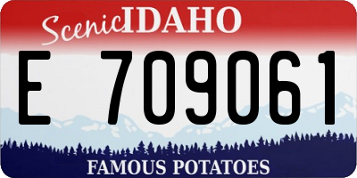 ID license plate E709061
