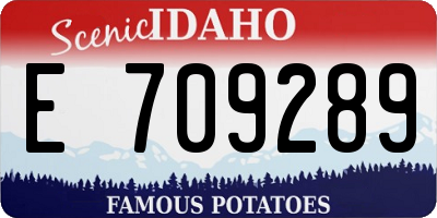 ID license plate E709289