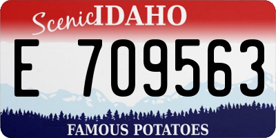 ID license plate E709563