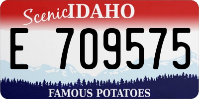 ID license plate E709575