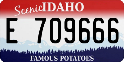 ID license plate E709666