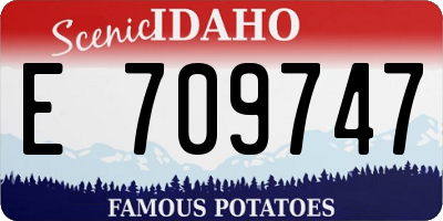 ID license plate E709747