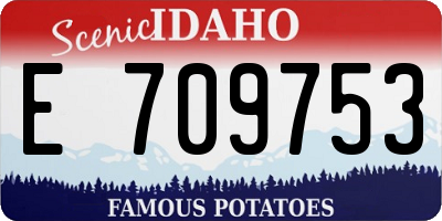 ID license plate E709753