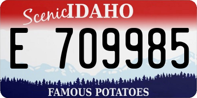 ID license plate E709985