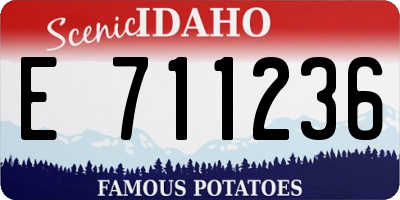 ID license plate E711236