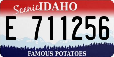 ID license plate E711256