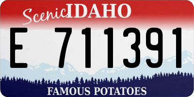 ID license plate E711391