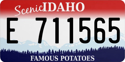 ID license plate E711565