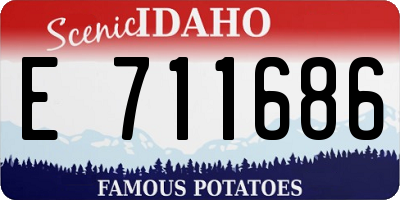 ID license plate E711686