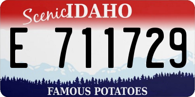 ID license plate E711729
