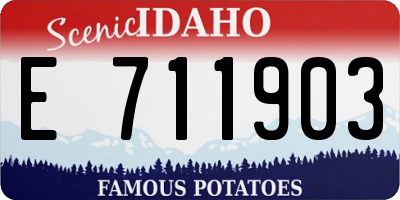 ID license plate E711903