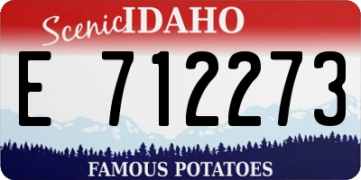 ID license plate E712273