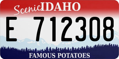ID license plate E712308