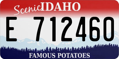 ID license plate E712460