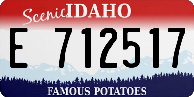 ID license plate E712517