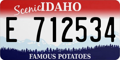 ID license plate E712534