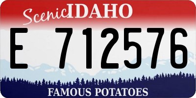ID license plate E712576