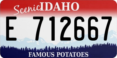 ID license plate E712667