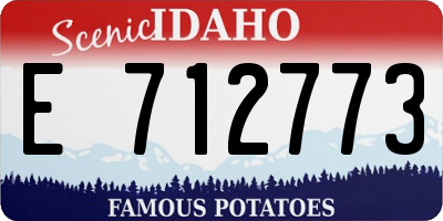 ID license plate E712773