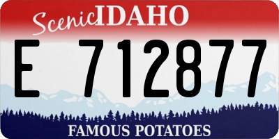 ID license plate E712877