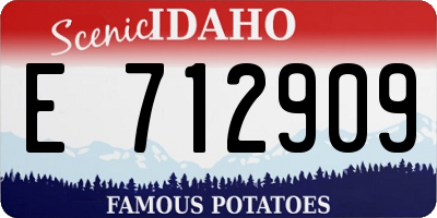 ID license plate E712909