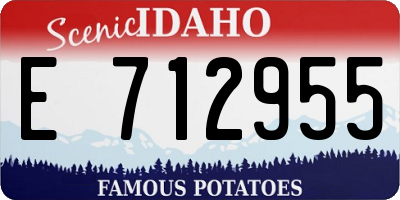 ID license plate E712955