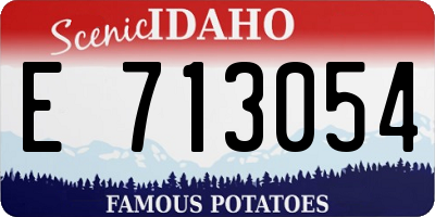 ID license plate E713054