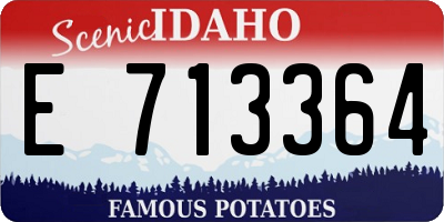ID license plate E713364