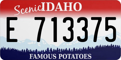 ID license plate E713375