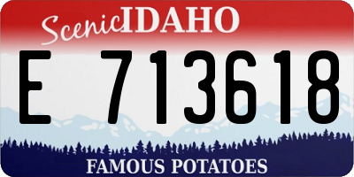 ID license plate E713618