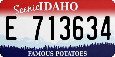 ID license plate E713634