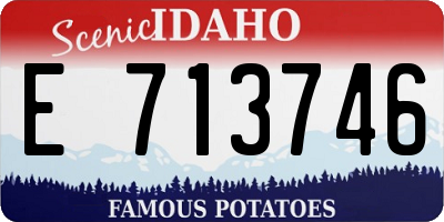 ID license plate E713746