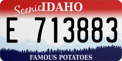 ID license plate E713883